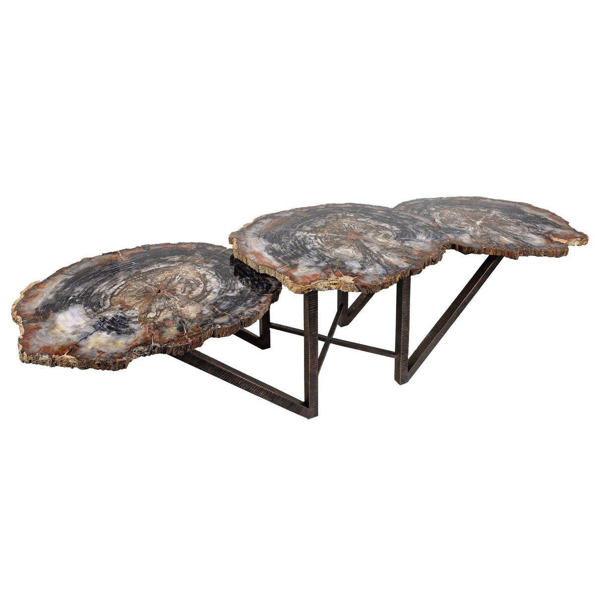 Arizona Petrified Wood Coffee Table | Trio Slices & Hand-Forged Base