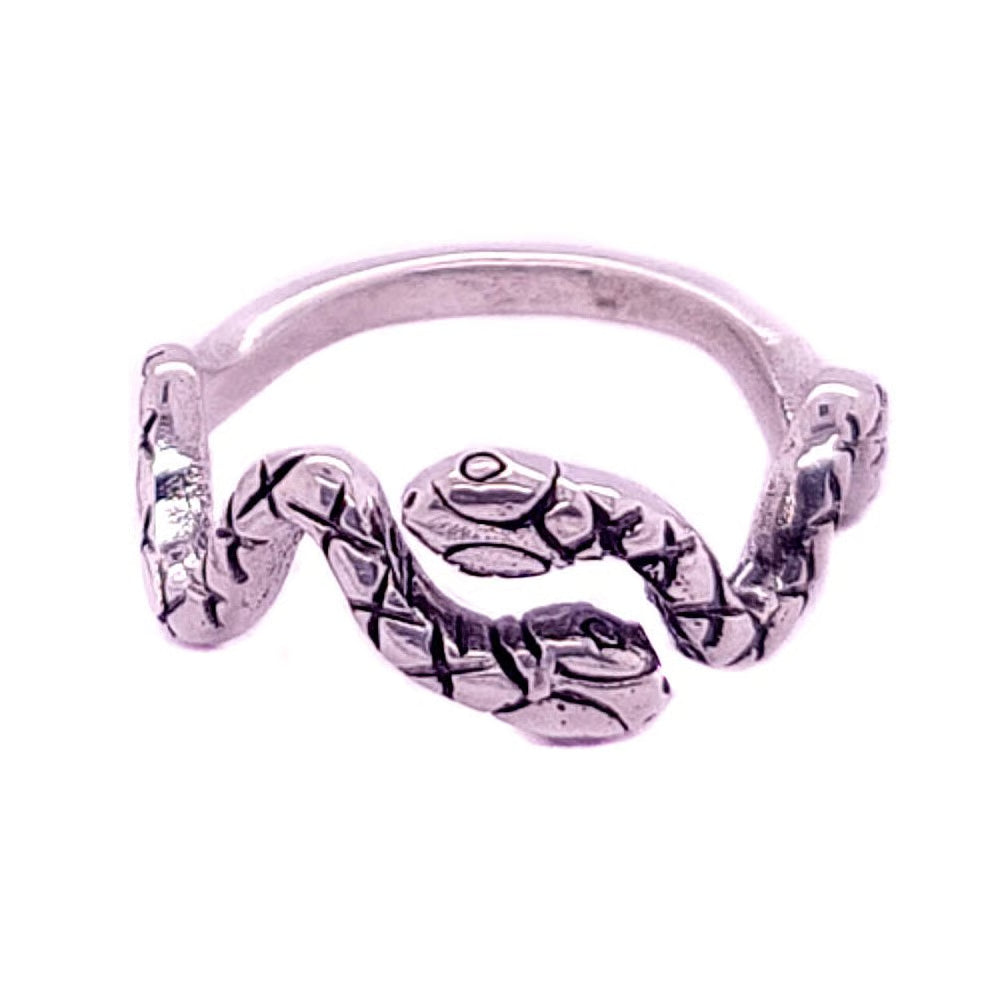 Two Snake Ring – Jewelry