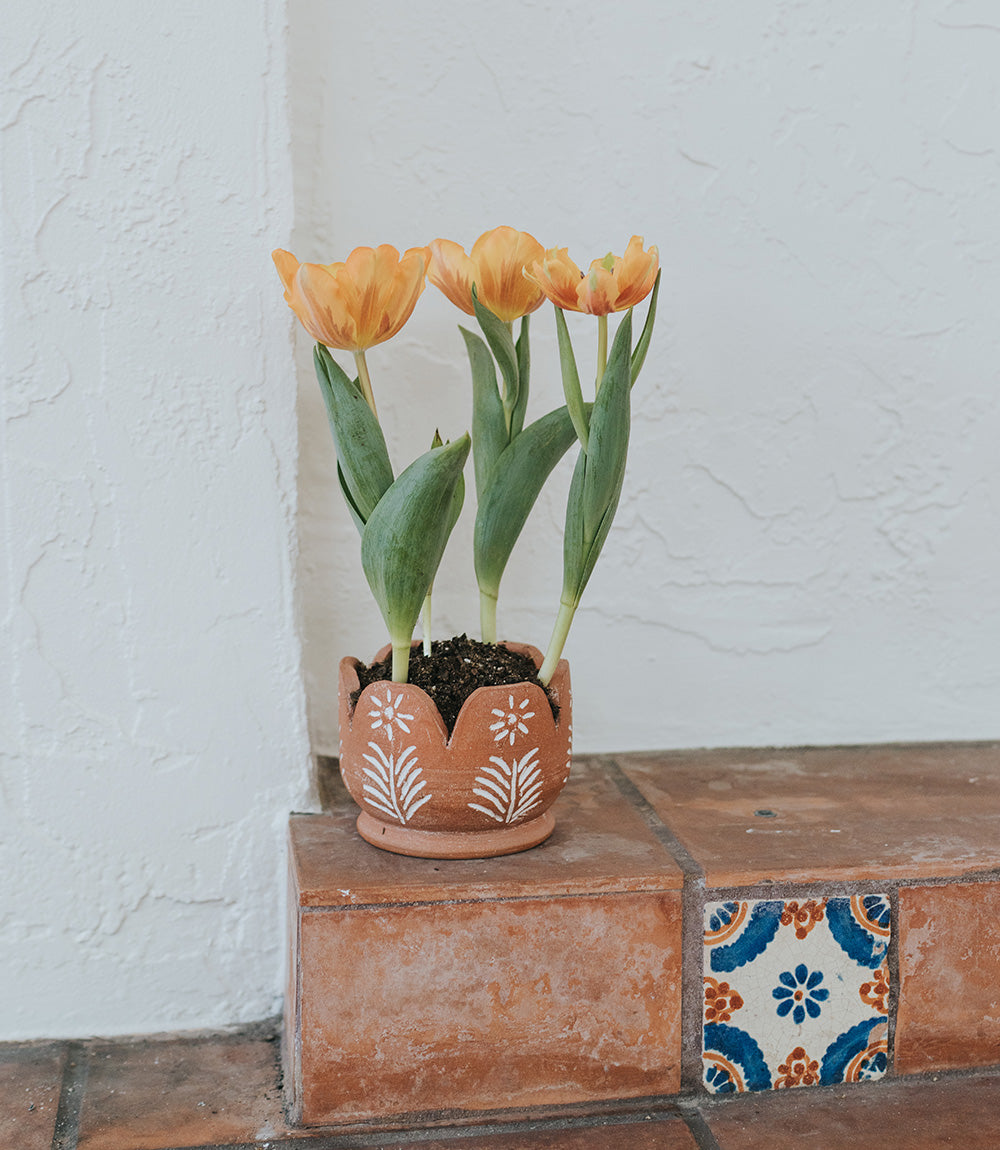 Vasanta Petals Planter with Drainage - Terracotta – Garden