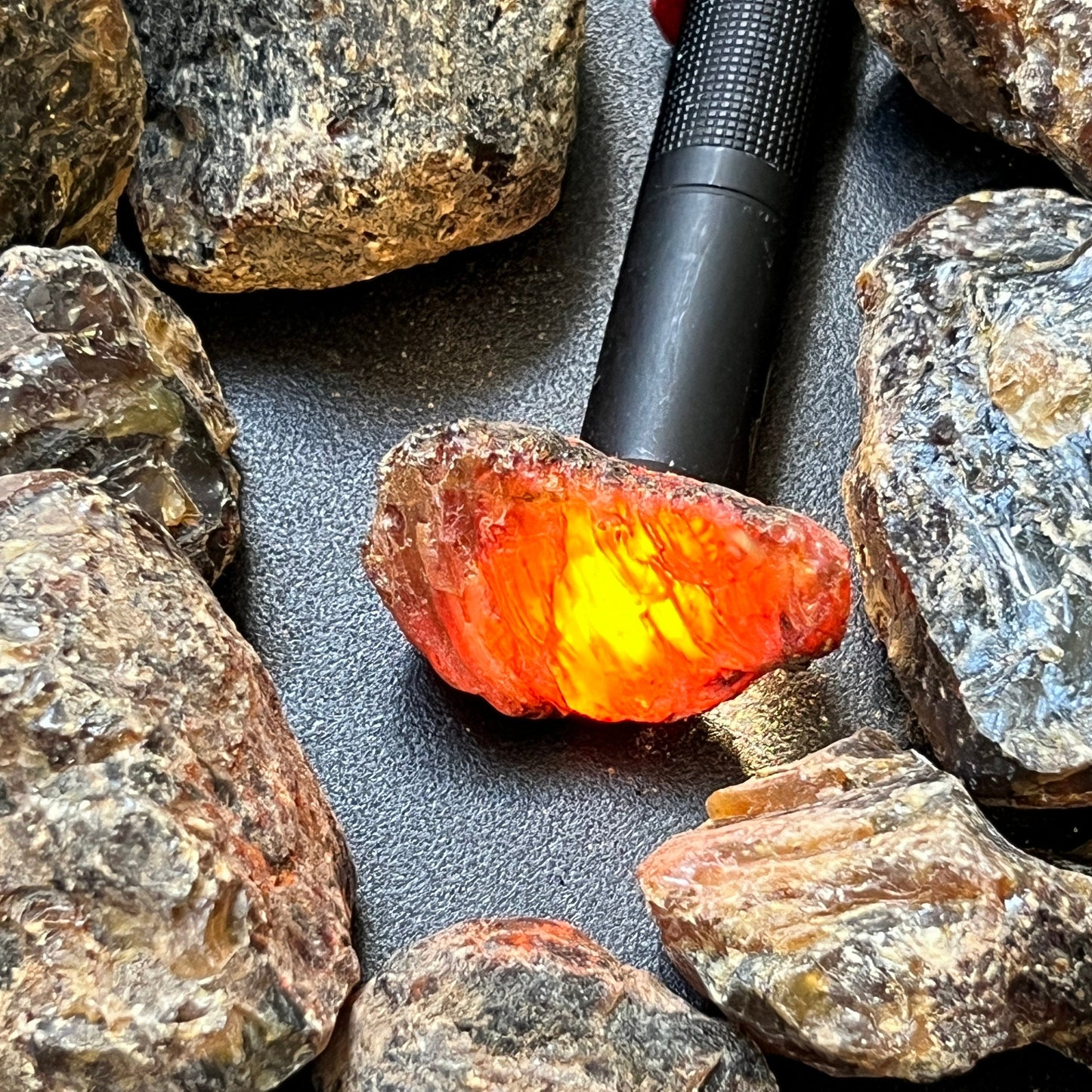 Black Amber Fossilized Tree Resin Mixed Sizes Rough Raw Stones (By The Piece or Pound)(UV Reactive) Wholesale – Home & Living > Home Decor > Home Accents > Rocks & Geodes