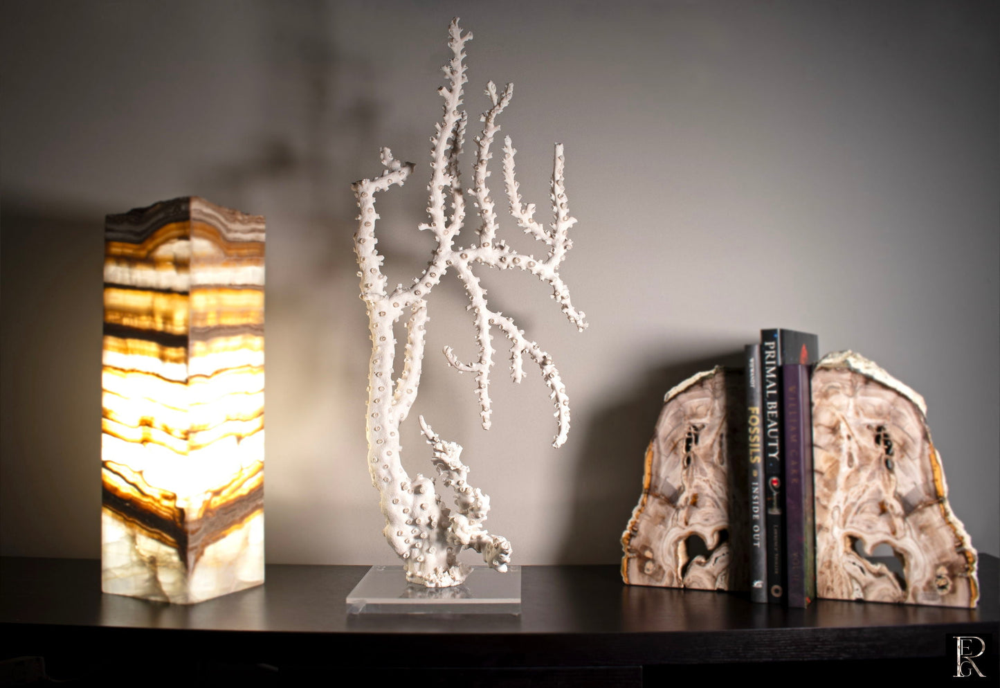 California Octopus Coral on Lucite Base - Rare Fossil Decor – Fossils & Coral