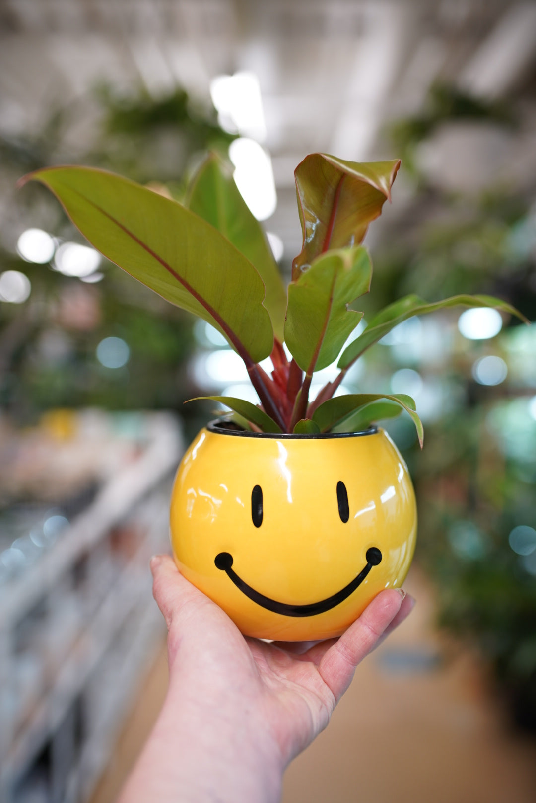 Yellow Smiley Face Planter for 4-Inch Nursery Pots