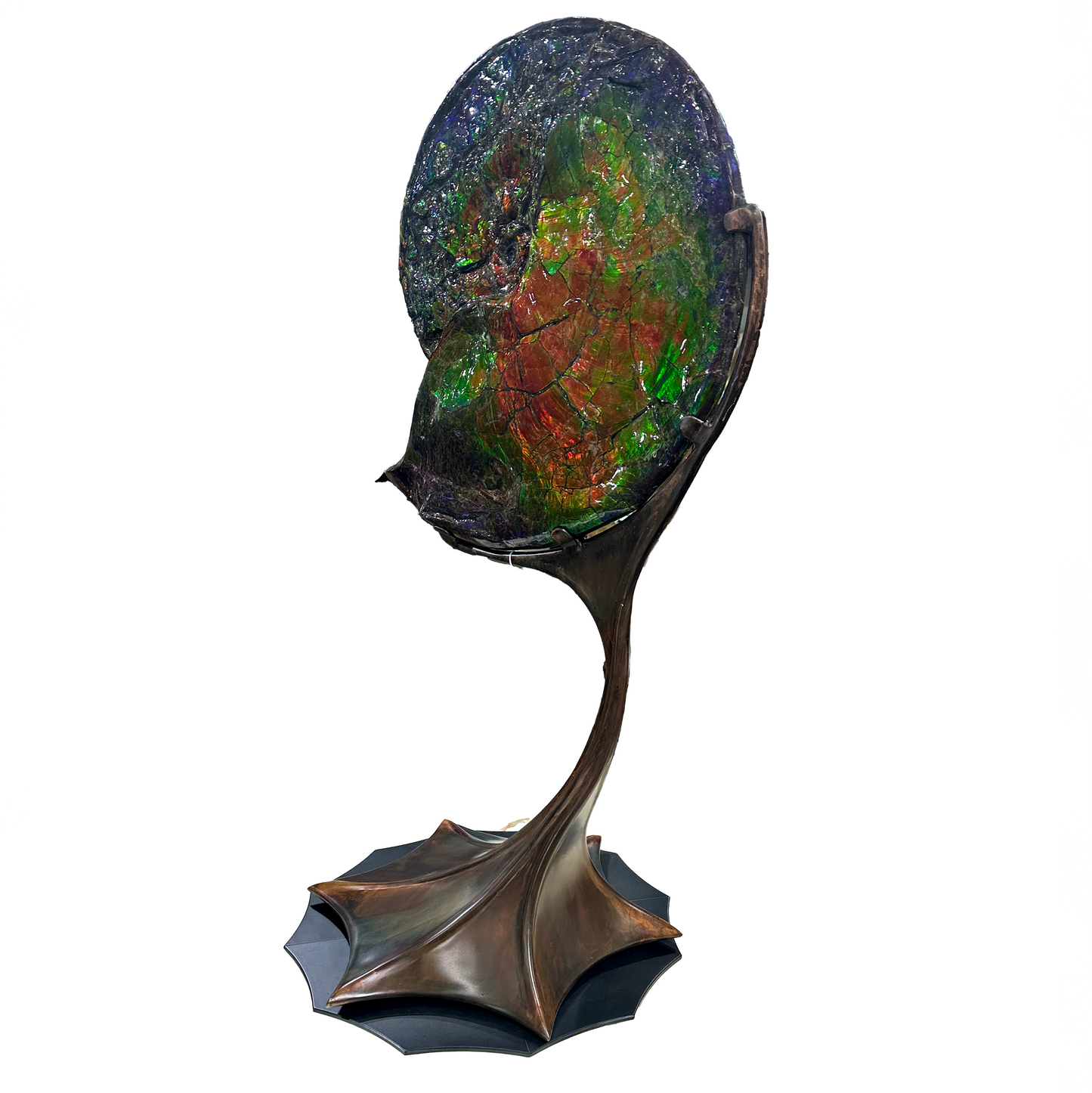 A+ Ammonlite Fossil in Custom Rotating Stand - Whole with Vibrant Colors in Theatrical Design Stand with Patina Finish –