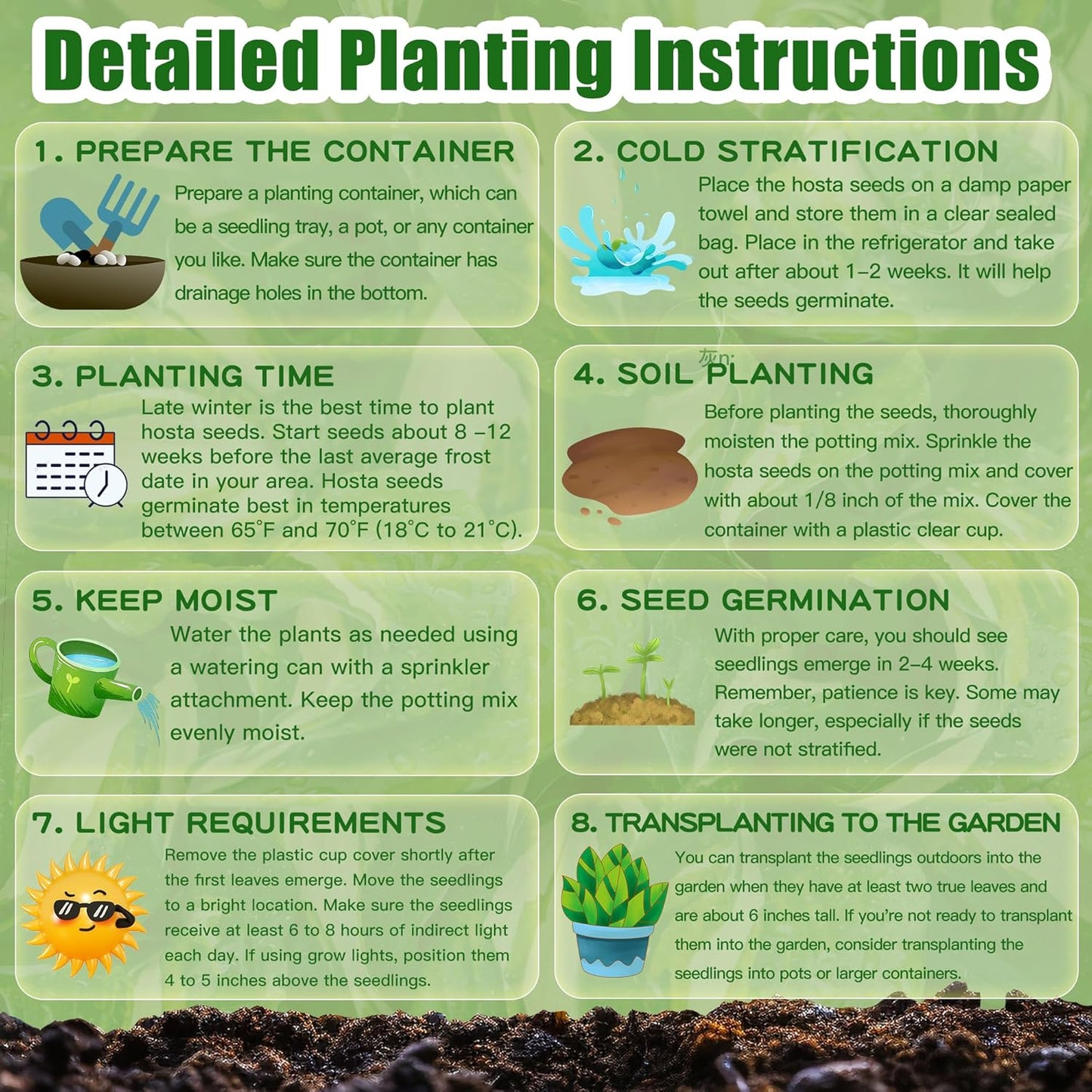 Blue Hosta Plants, Perennial Hosta Seeds for Outdoor Garden Shade, Easy to Grow And Plant