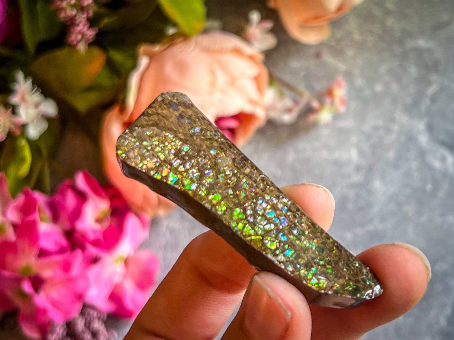Ethically Sourced Ammolite From Canada –