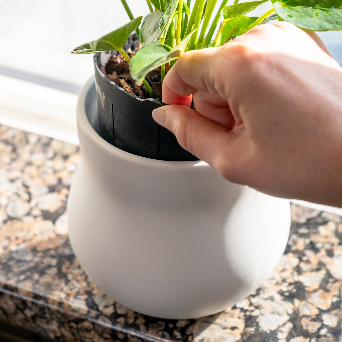Ceramic Plant Pot with Removable Liner, Alabaster White