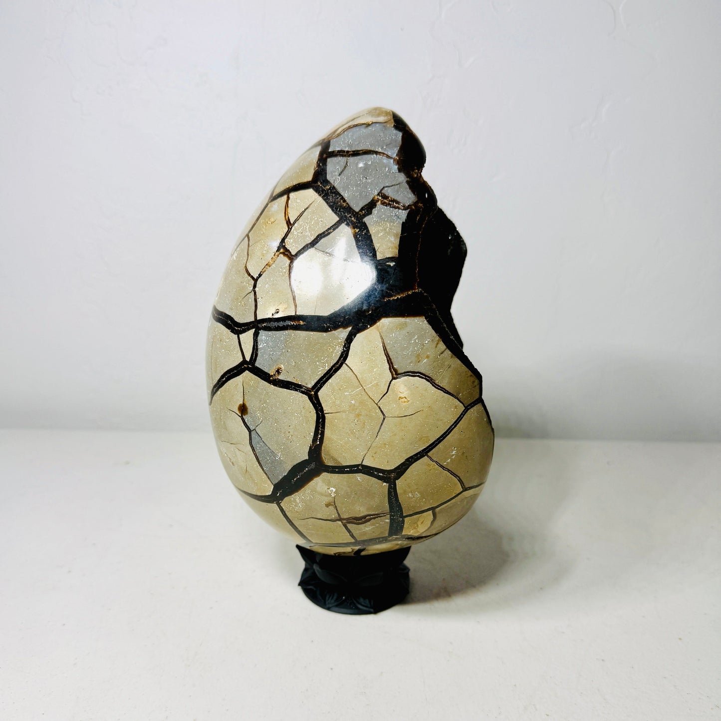 Black Septarian Dragon Egg – 10.2 lb with Stand –