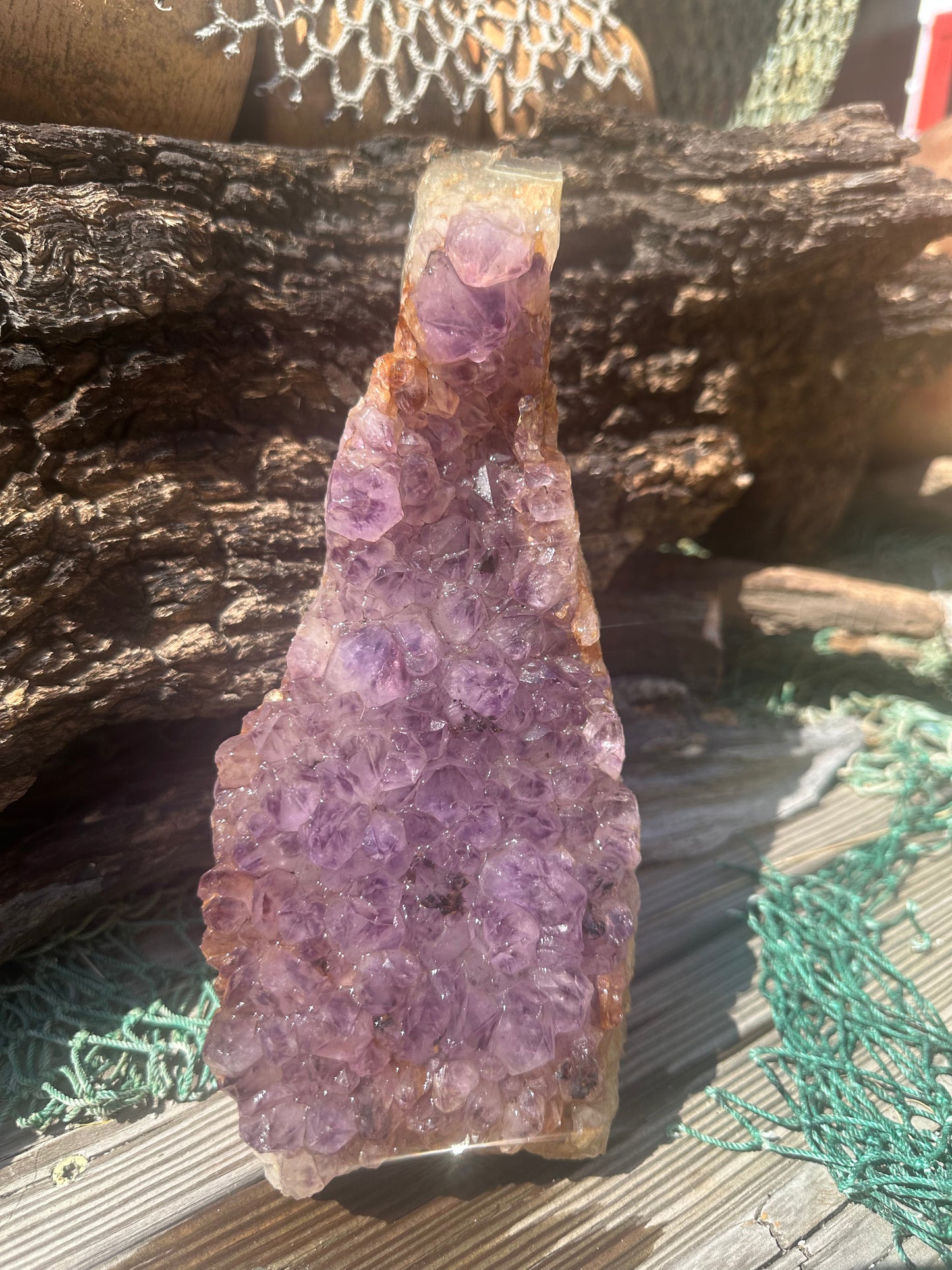 Natural Amethyst Cluster Crystal Specimen-Raw Purple Quartz Geode (9x3.4x3.8) – rocks and fossils