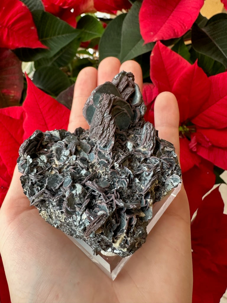 Hematite "Iron Rose" Crystal Cluster 220g – Minerals
