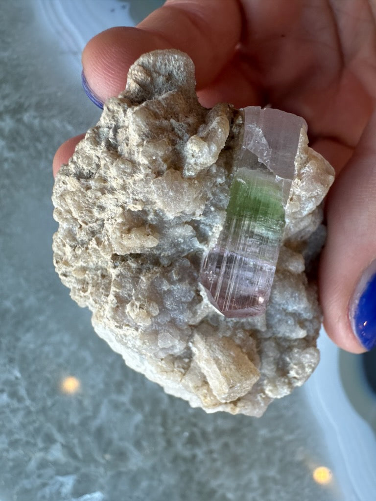 Watermelon Tourmaline on Albite Matrix - Brazilian Specimen – Minerals