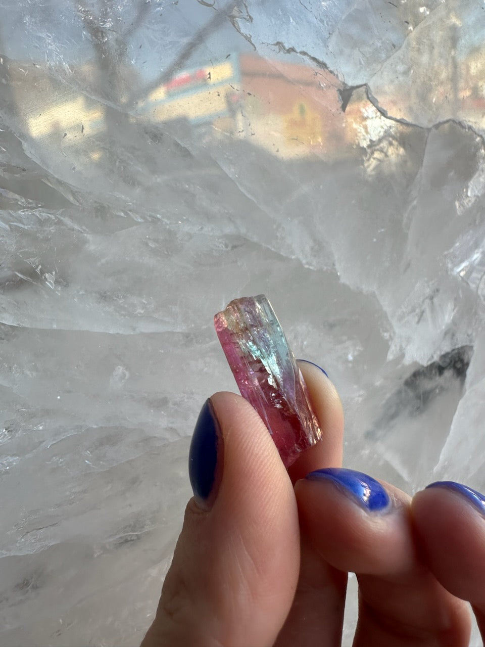 Watermelon Tourmaline from Brazil