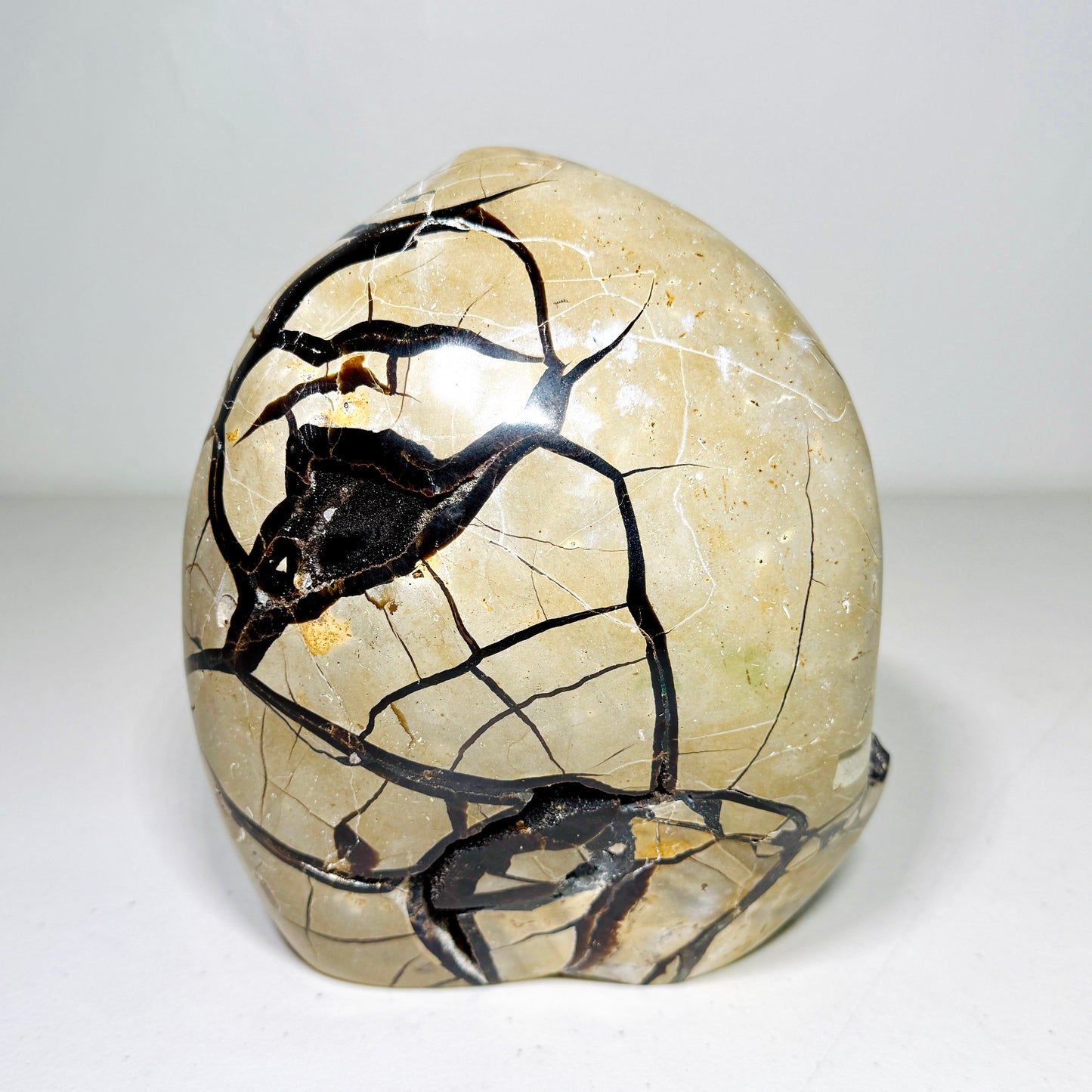 Septarian Dragon Stone - 4.7 lb Druzy Freeform –