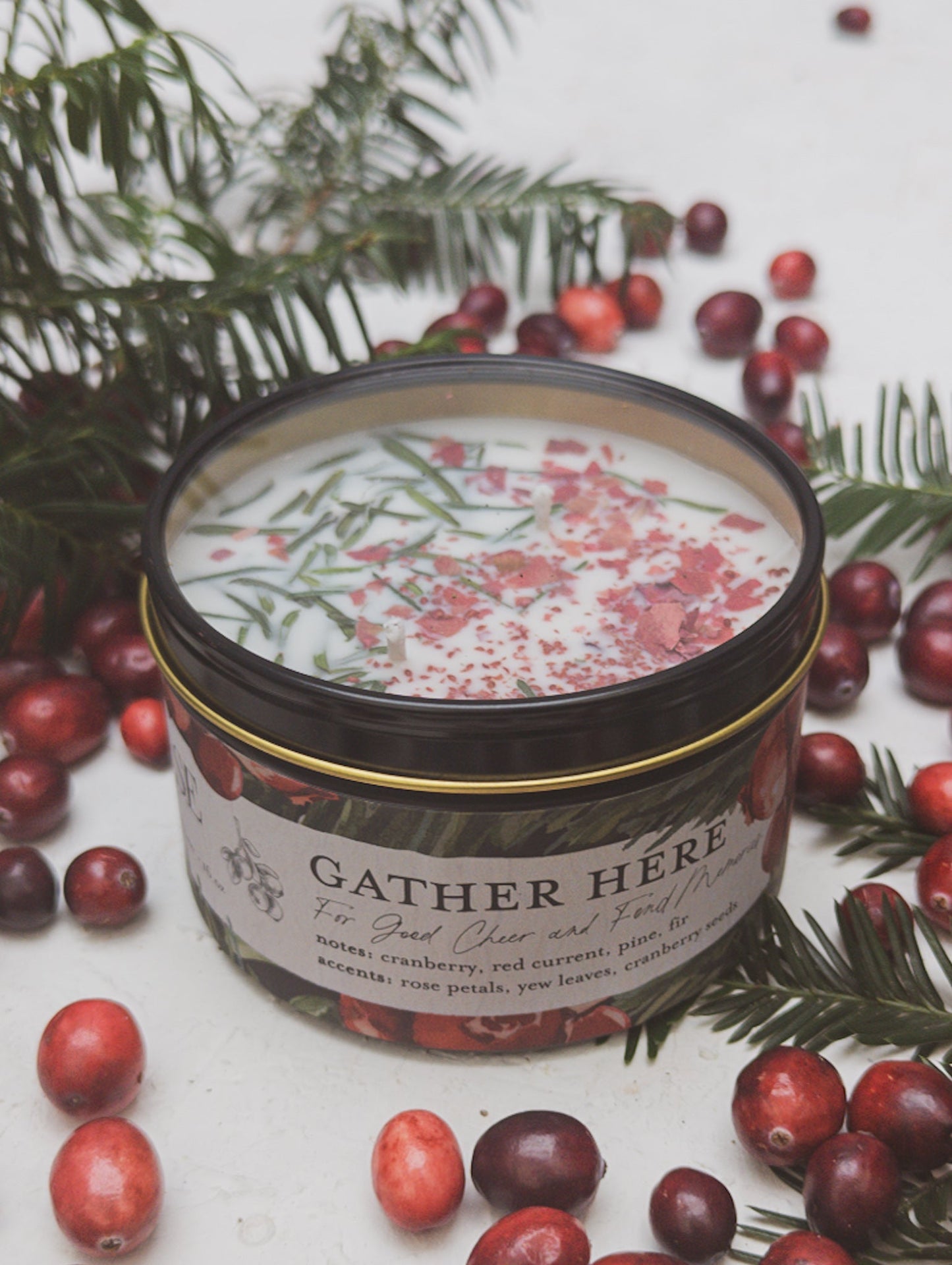 Cranberry Pine 4oz Tin Candle