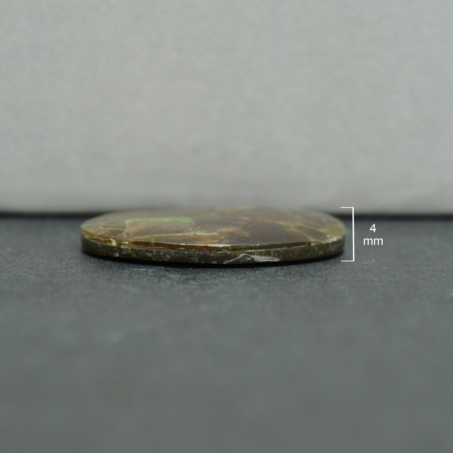 Ammolite Oval Cabochon 32 mm - 1 Piece