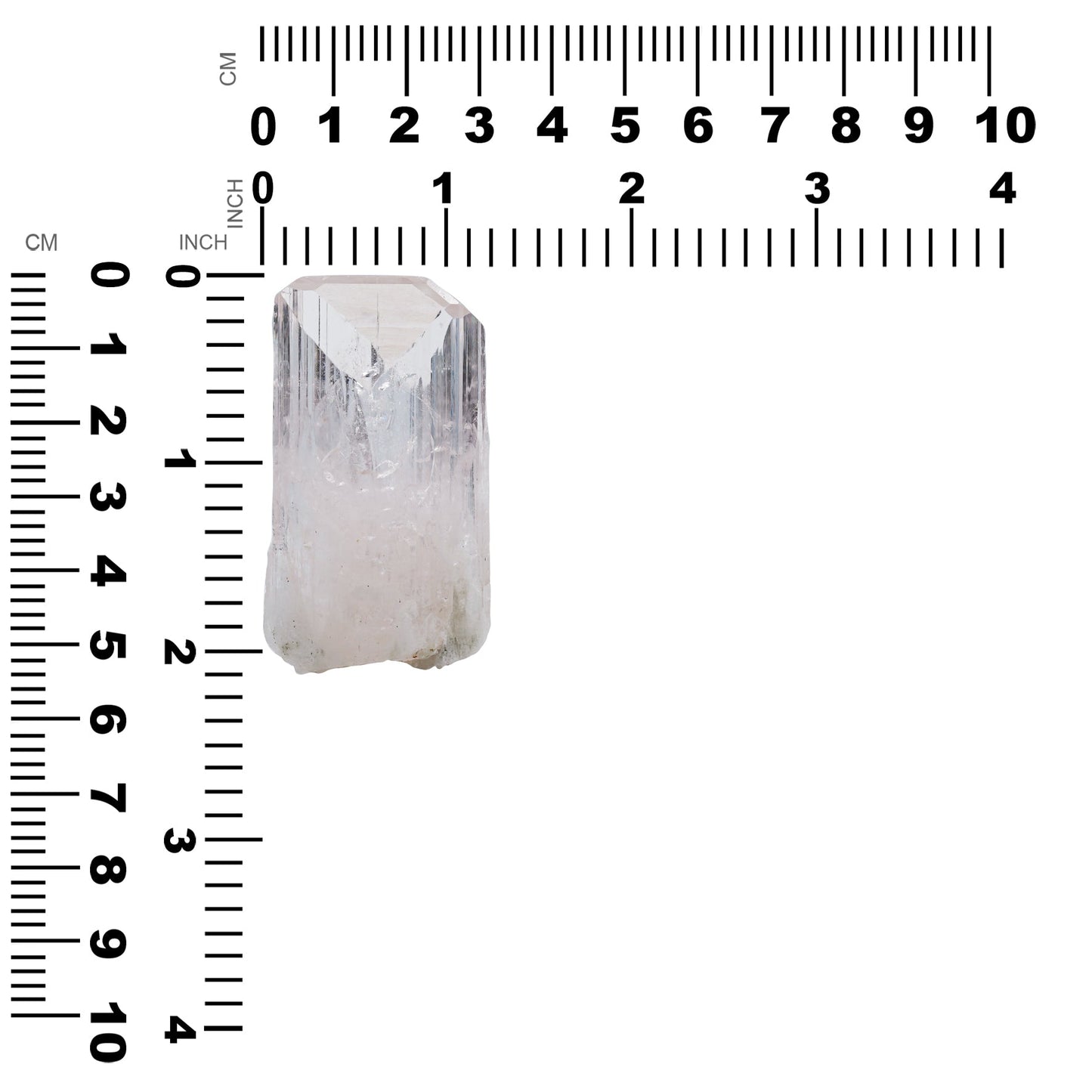 Starborn Danburite Crystal Collector's Corner Specimen 203 cts - 1 Piece – RP - Regular Price