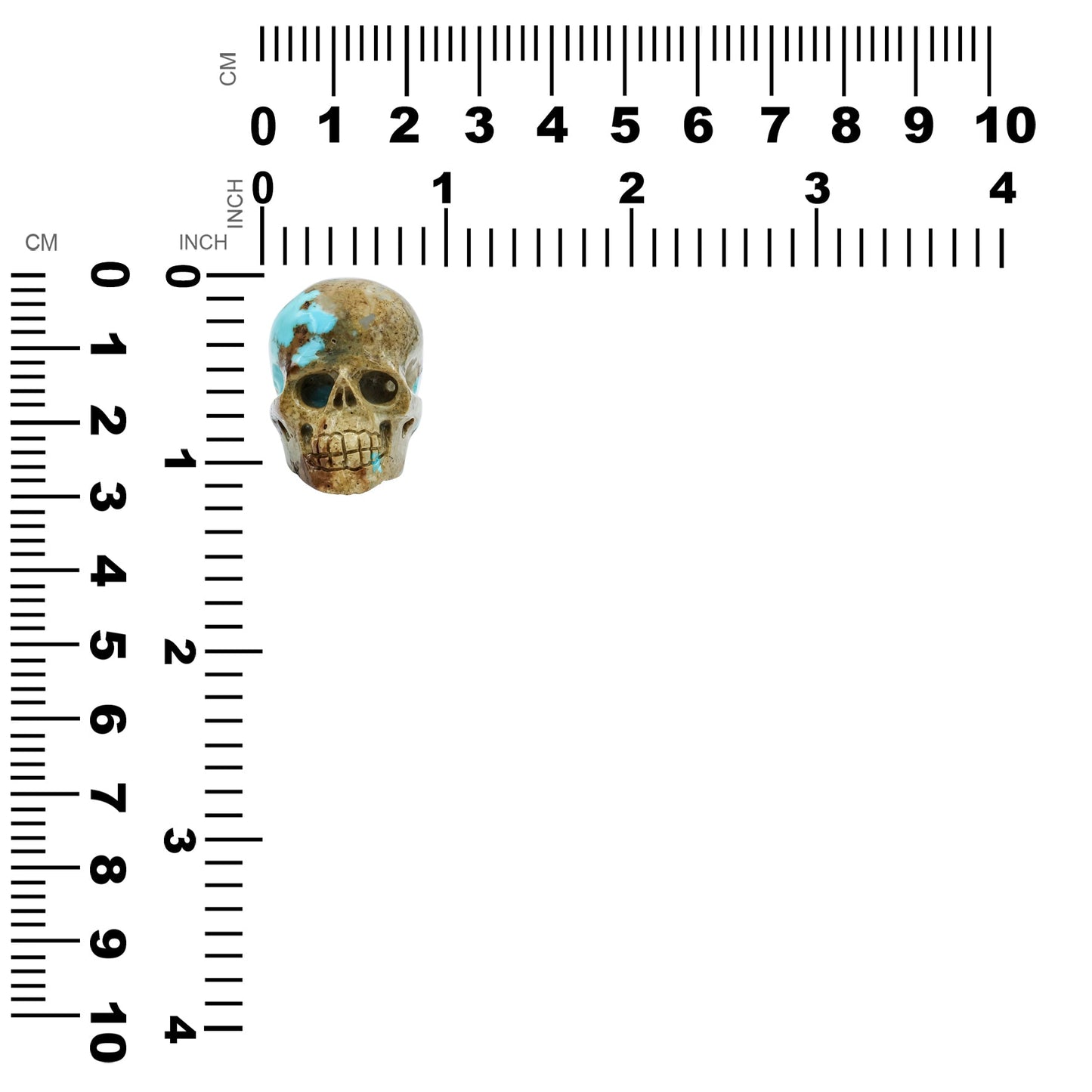 Hand Carved New Arizona Turquoise Skull Carving 172.5 cts - 1 Piece – RP - Regular Price