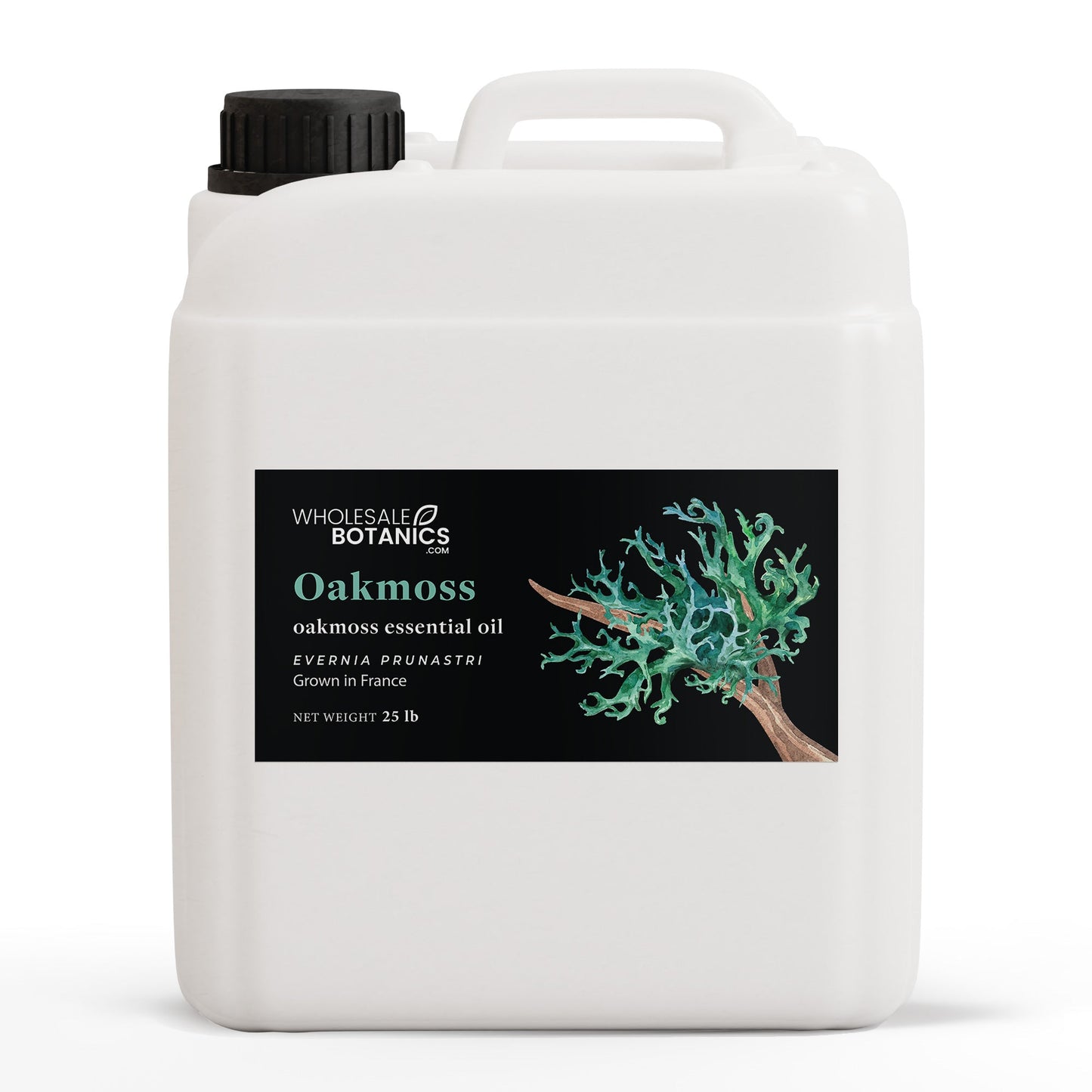 Oakmoss Essential Oil – 25 lbs Essential_Oil
