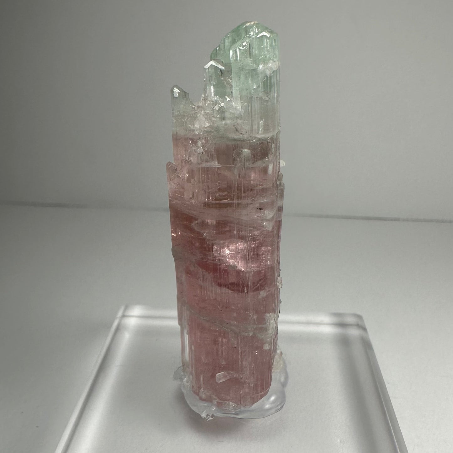 Watermelon Tourmaline