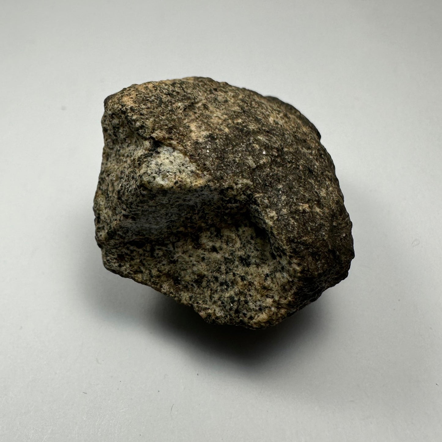 Chondrites Meteorite South Sahara Desert, Morocco
