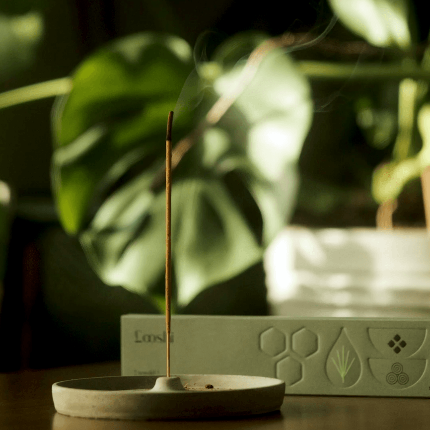 Rewild Incense Sticks – Incense