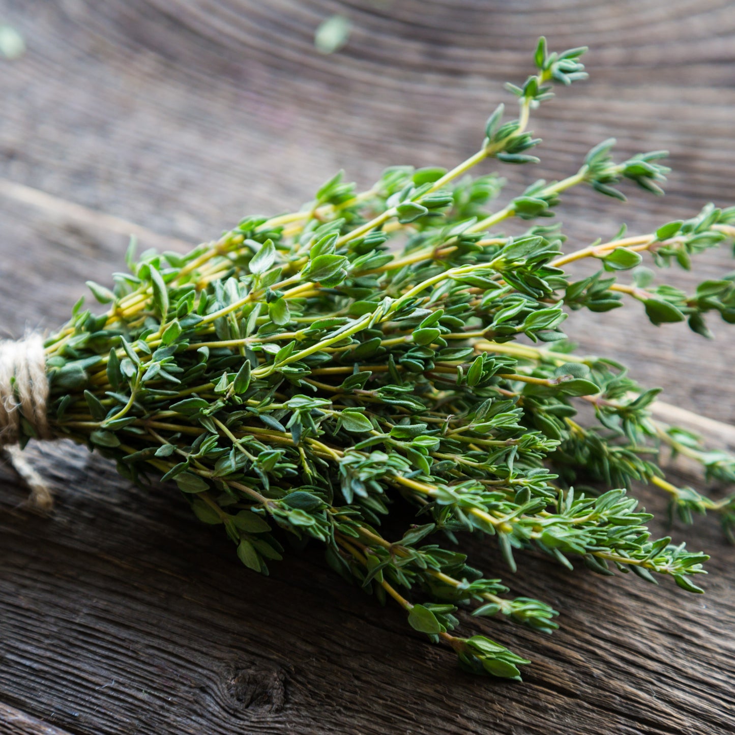 Thyme Essential Oil