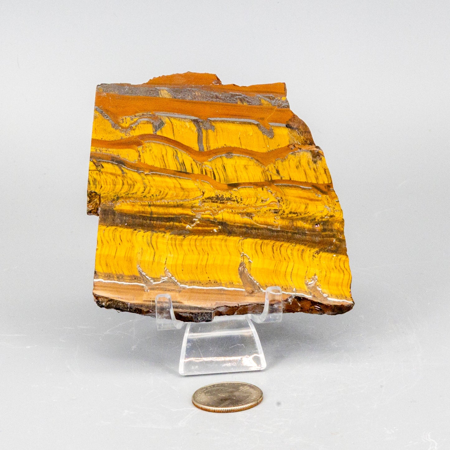 Tiger's Eye Polished Slices, Golden Healing Stone