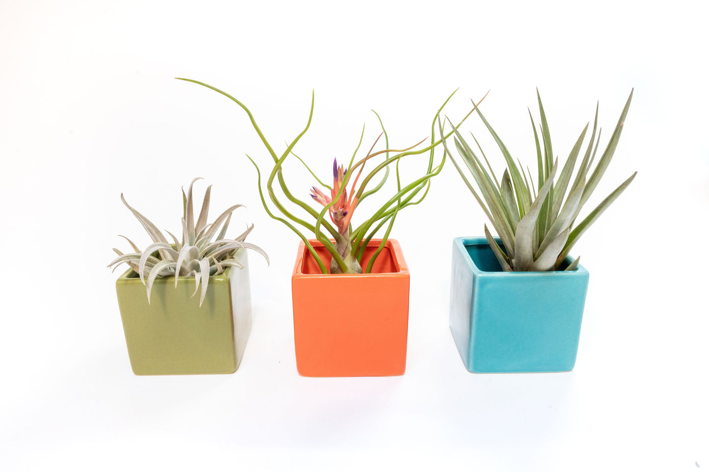Ceramic Cube Container - Choose Your Color –