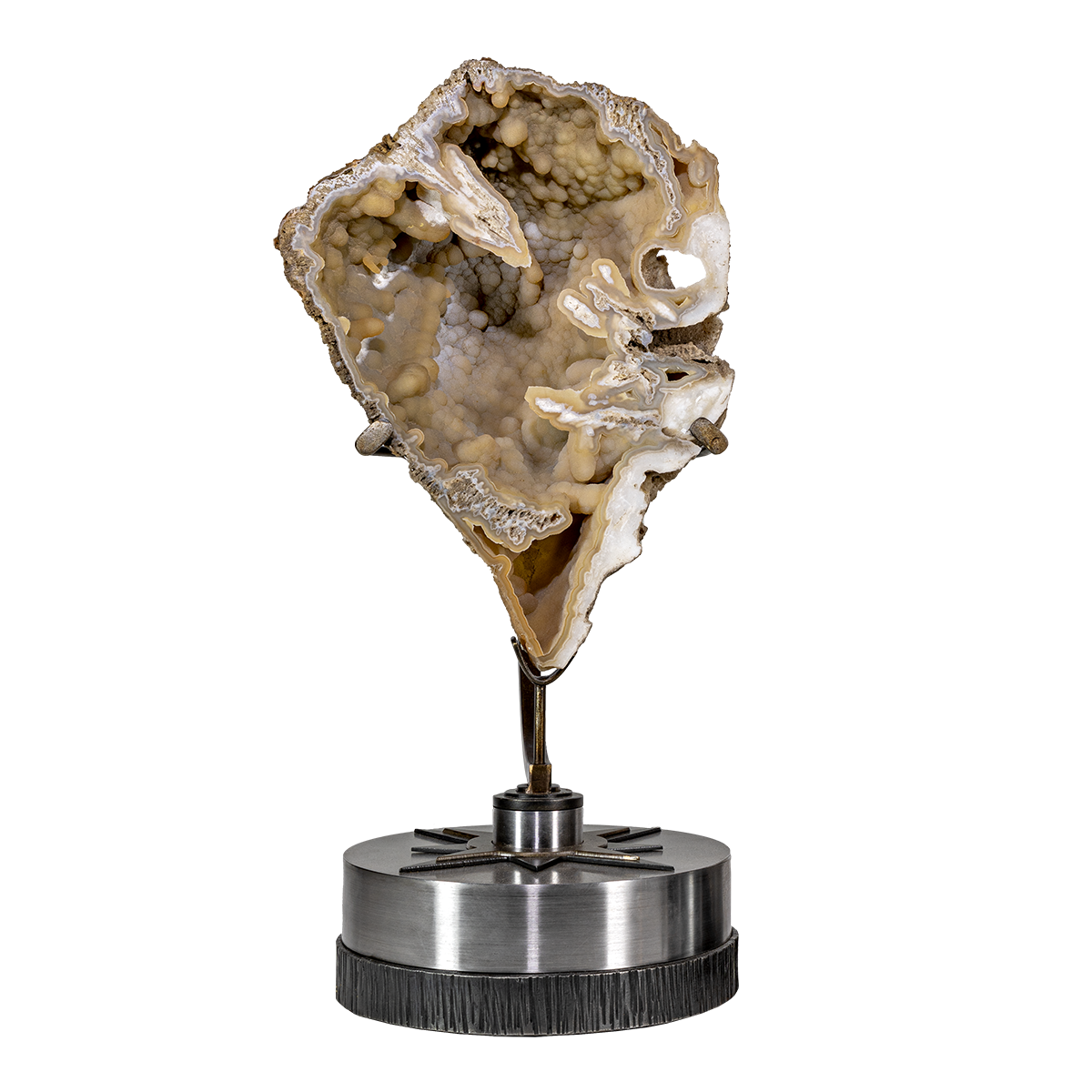 Agatized Fossil Coral on Rotating Starburst Stand - Statement Art – Fossils & Minerals