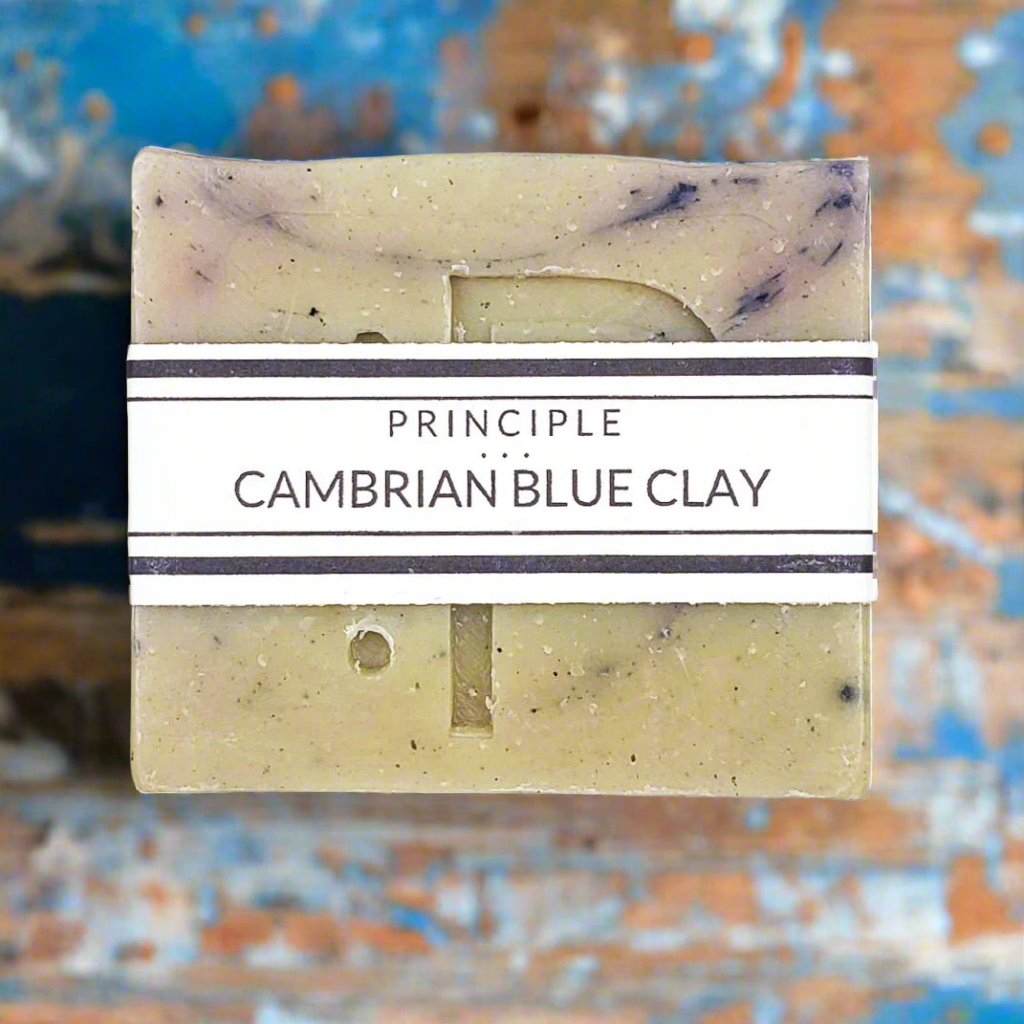 Cambrian Blue Clay Soap Bar – Soap