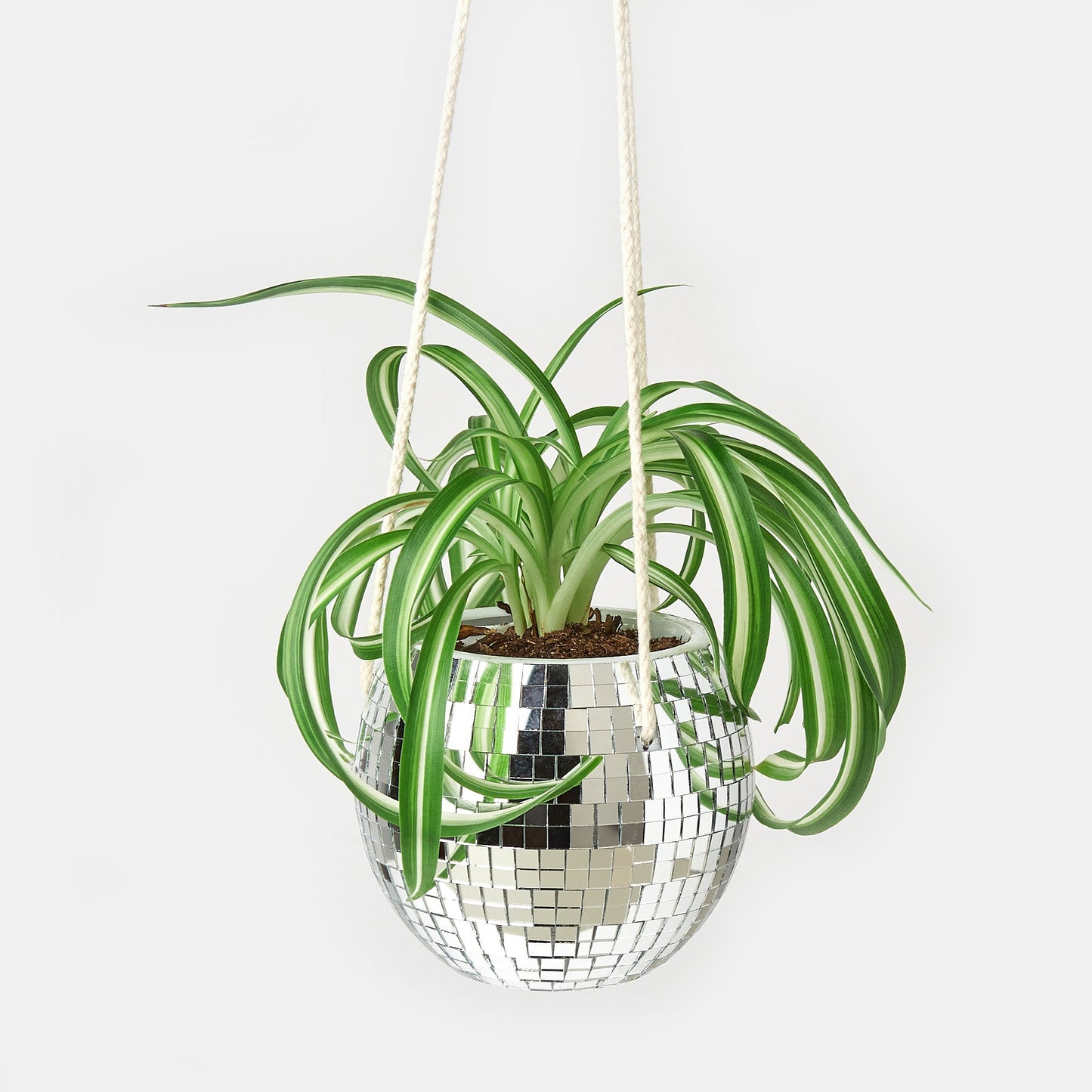 Disco Ball Hanging Planters – Accessories ($13 Ship/47oz)