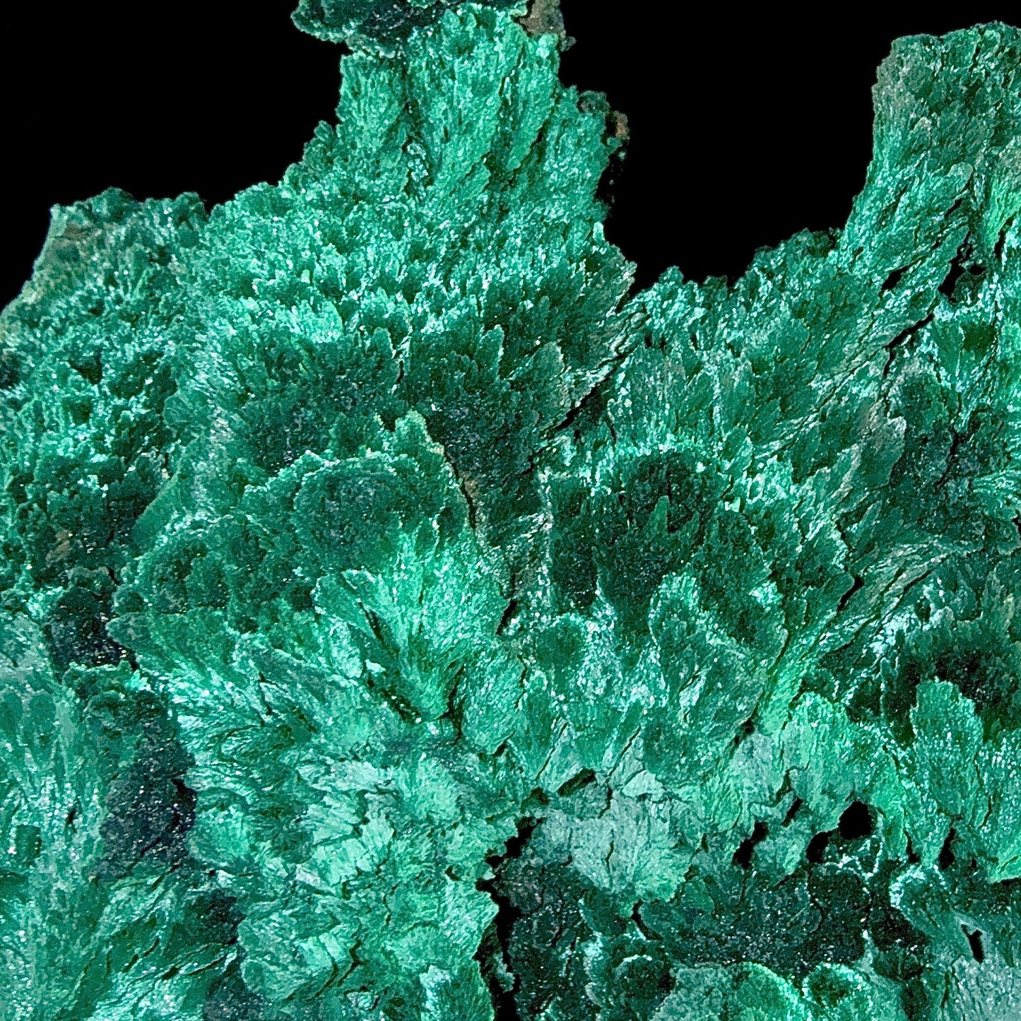 Fibrous Malachite | SELF STANDING | High Quality Mineral | Superb Minerals | Fine Minerals – Malachite