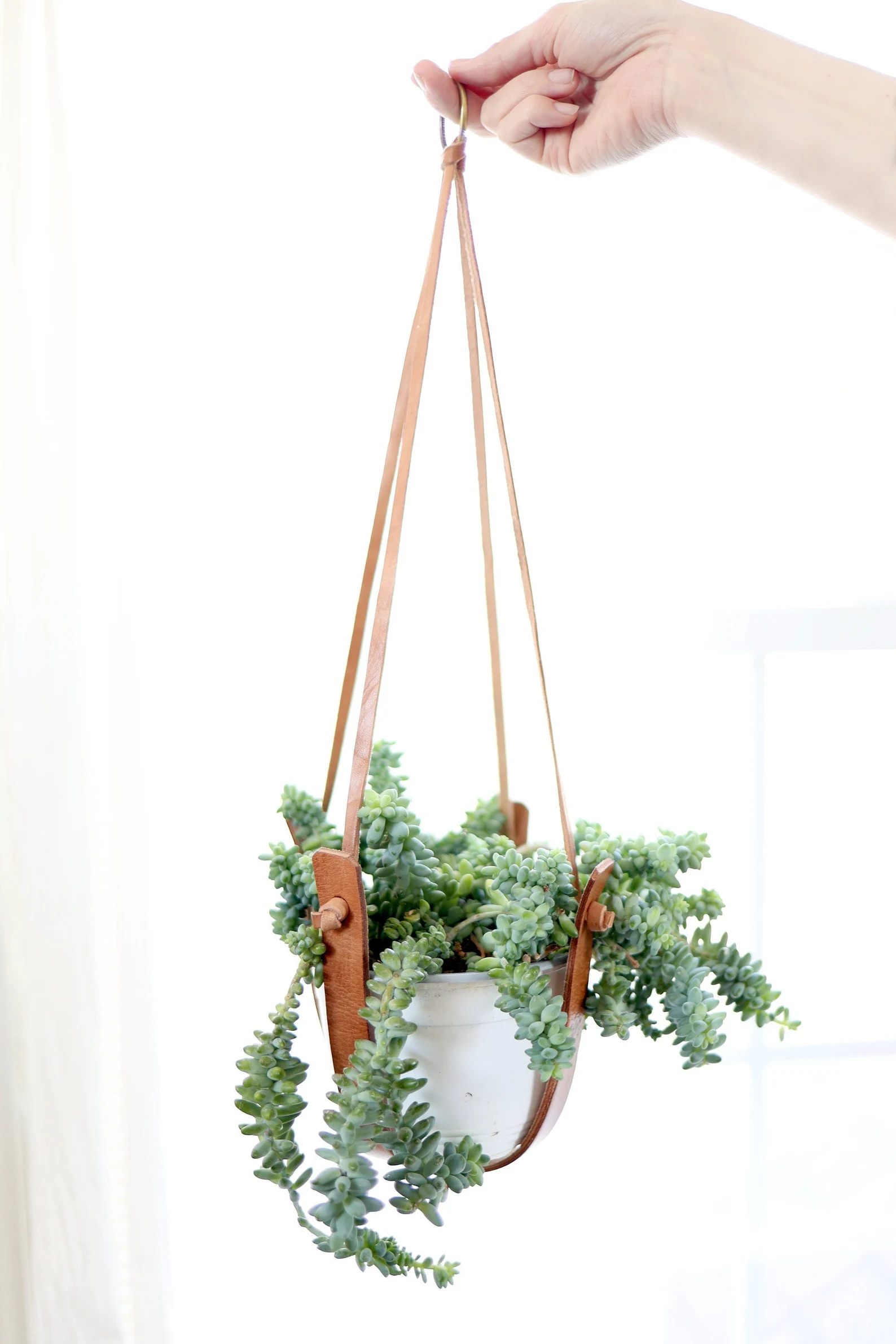 moon plant hanger Small Flourish Plant Hanger
