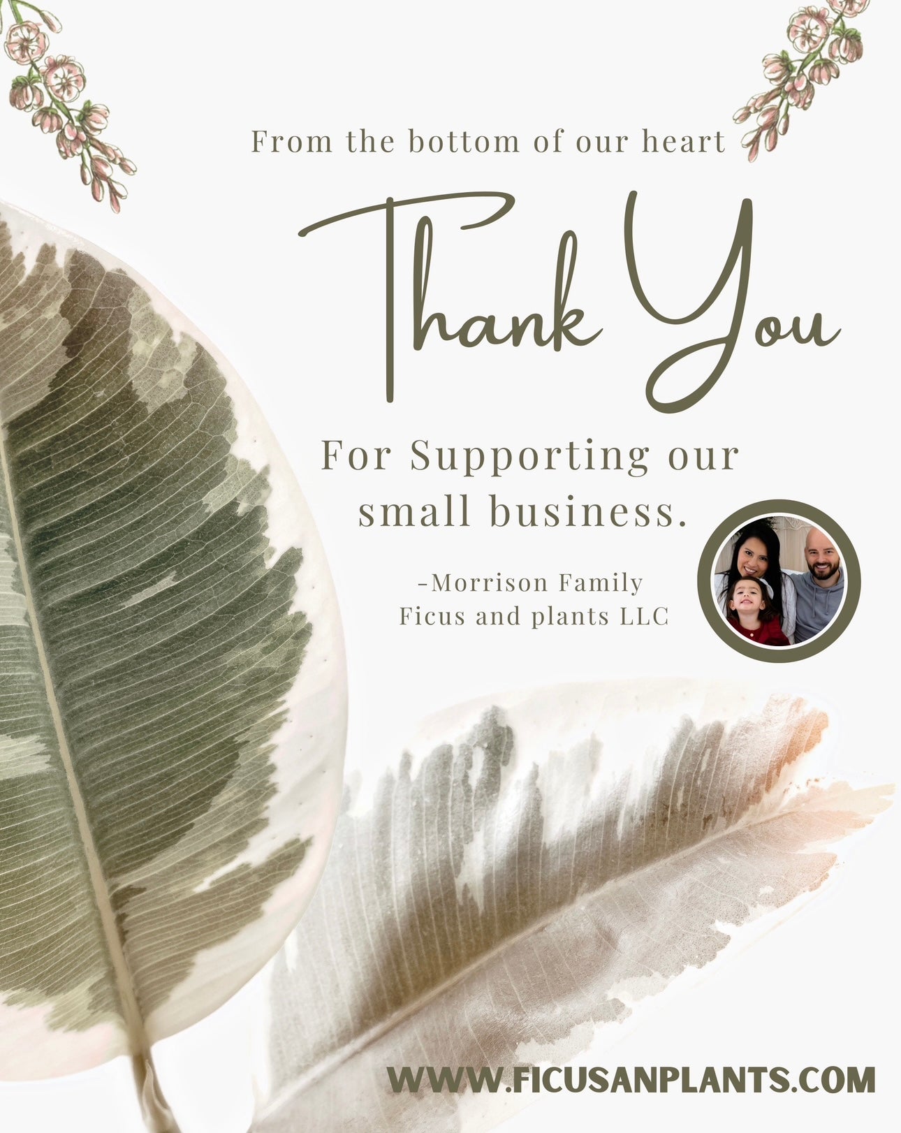 Mushroom Woven Blankets For Mushroom Lover or Mycologist. Fungus blanket with shiitake, amanita, chanterelle, enokitake. Mushroom bedding.