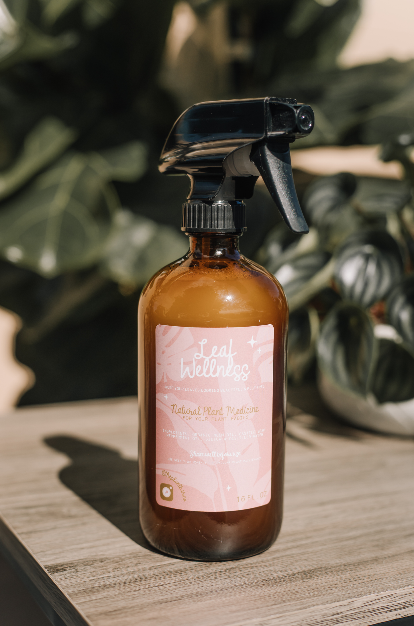 Leaf Wellness -- SAFE FOR PETS! - Organic Leaf Shine & Pest Preventative Spray for Houseplants – Neem, Peppermint & Silica Formula