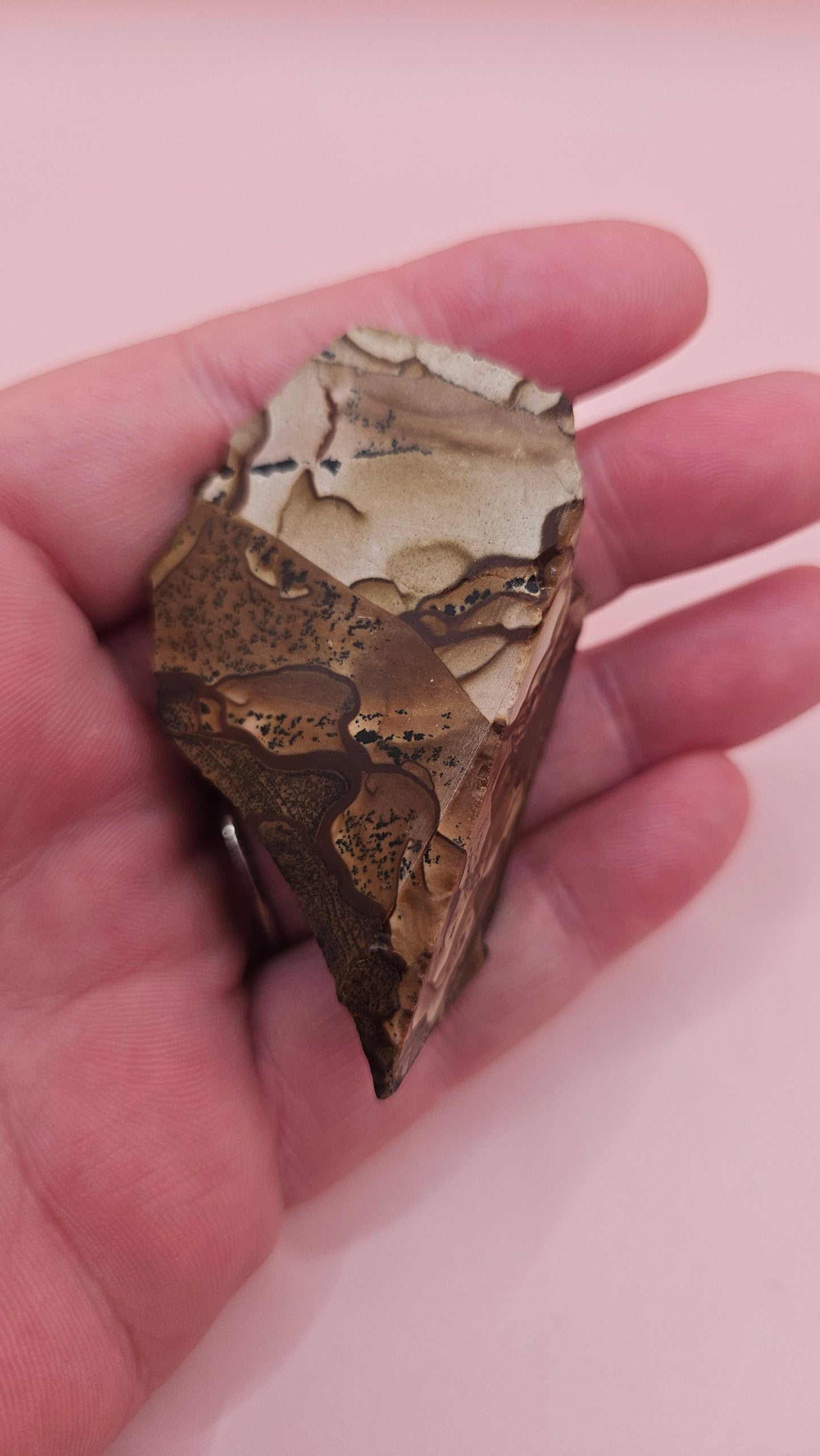 Rough Deschutes Jasper Specimen – 38g Oregon Picture Jasper with Scenic Earth Tones – Collector’s Natural Stone –