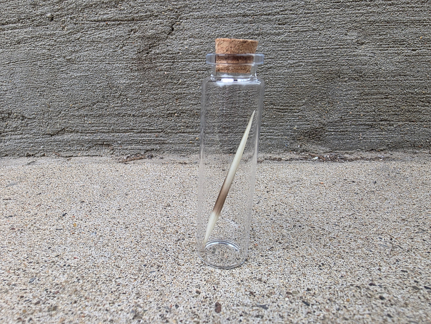 Porcupine Quill Curio Vial –