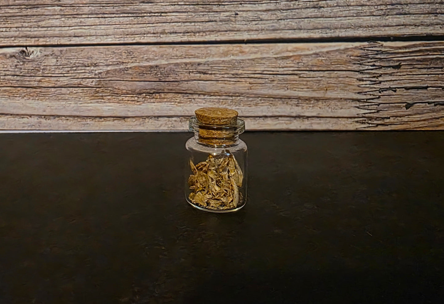 Juvenile Catfish Bones Curio Vial –