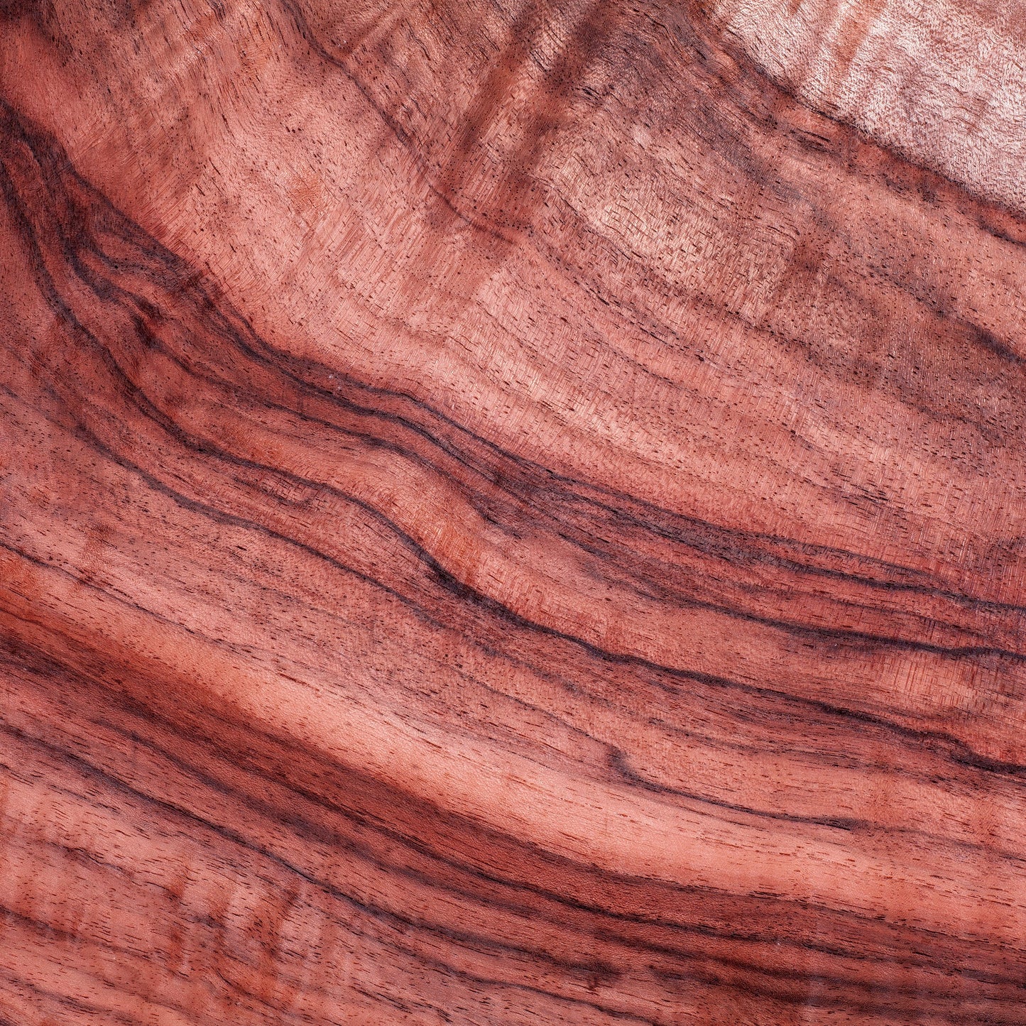 Rosewood Essential Oil – Essential_Oil