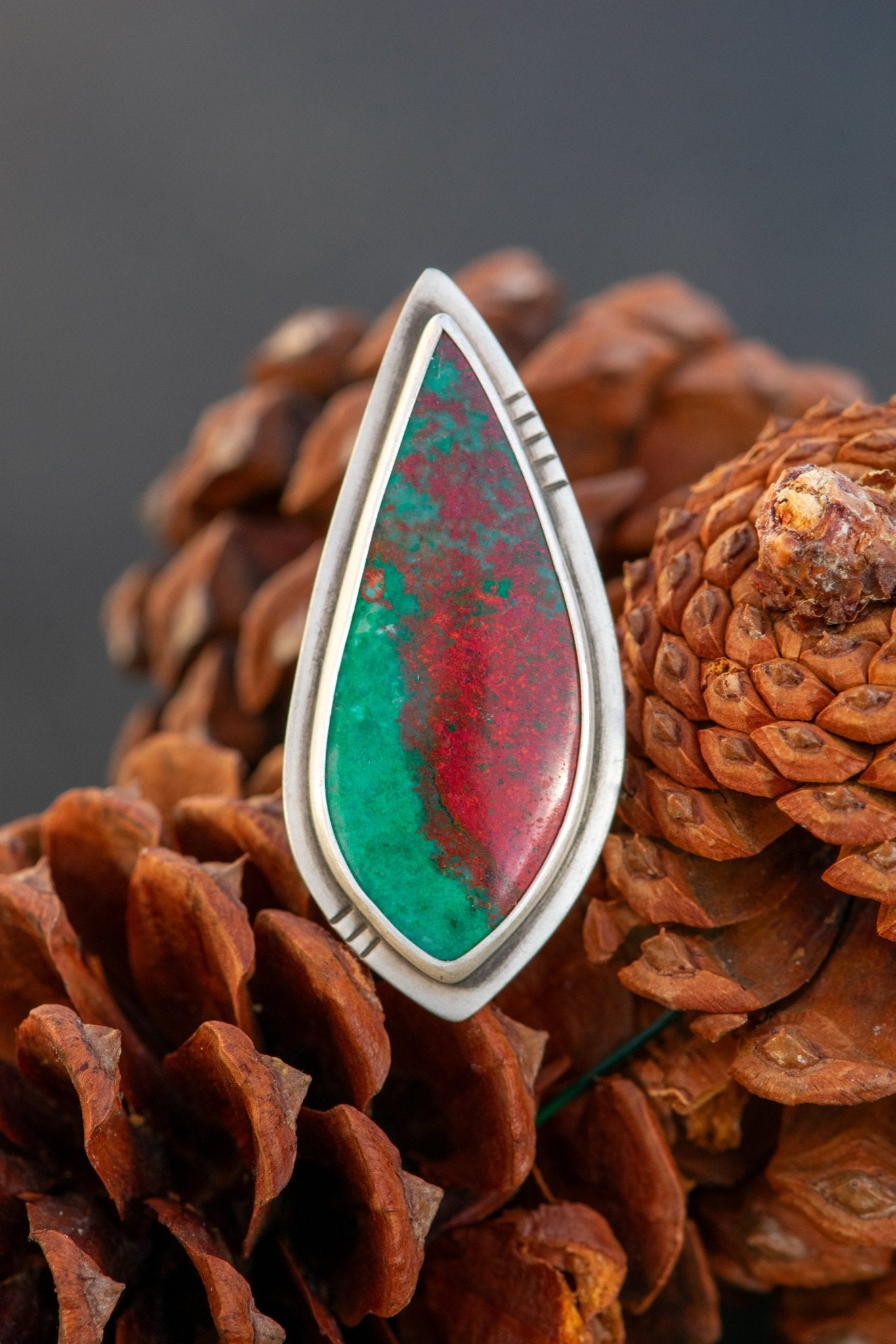 SOARING SONORAN SUNRISE