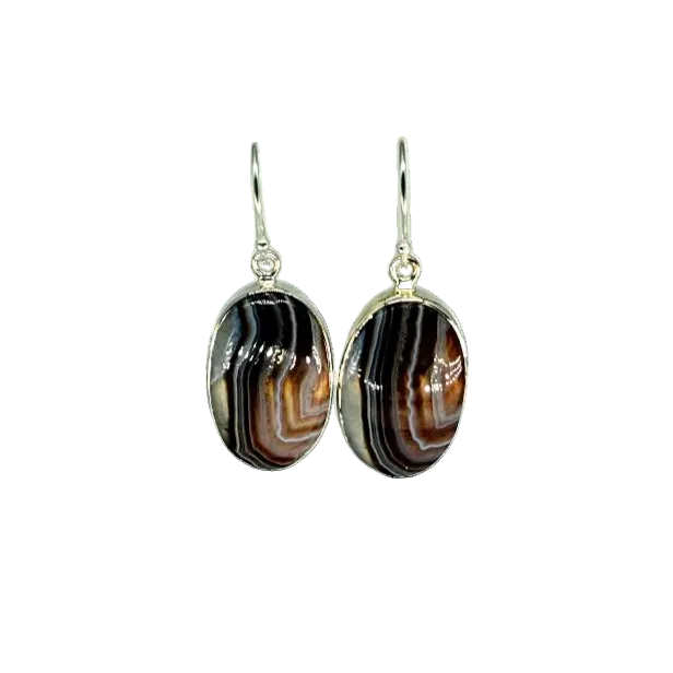 Crazy Lace Agate Earrings
