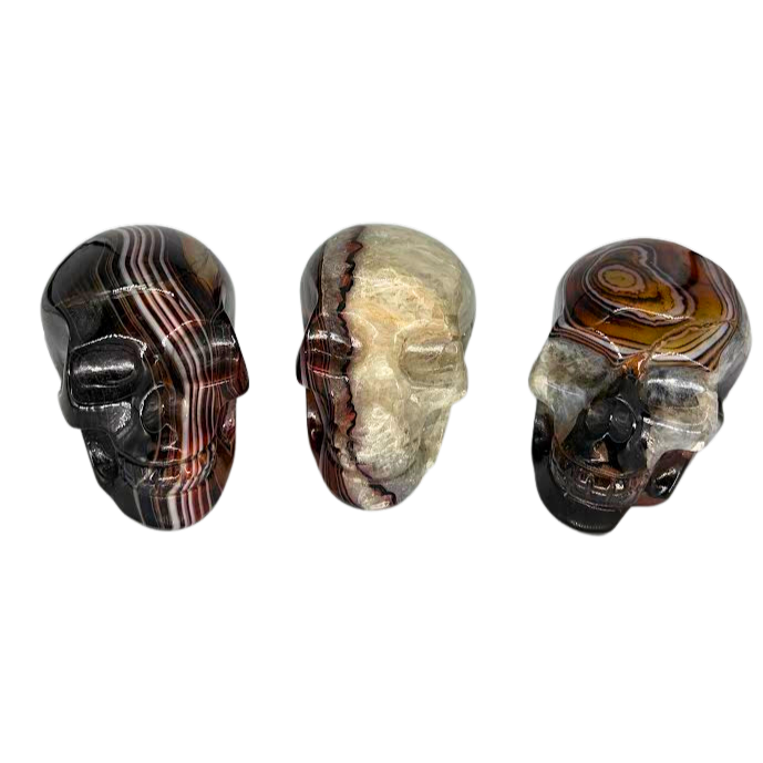 Banded Agate Skull $69.99 – Rocks & Fossils