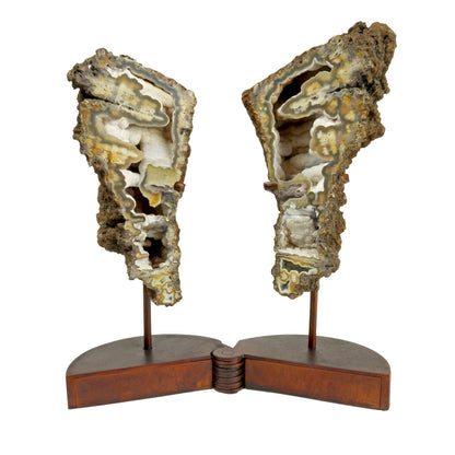 Fossilized Coral Head Pair on Pivot Stand | Plume Agate