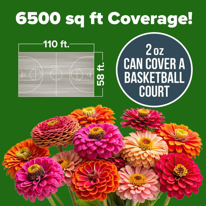 California Giant Zinnia Seed Mix – 7,500 Seeds, 2 oz