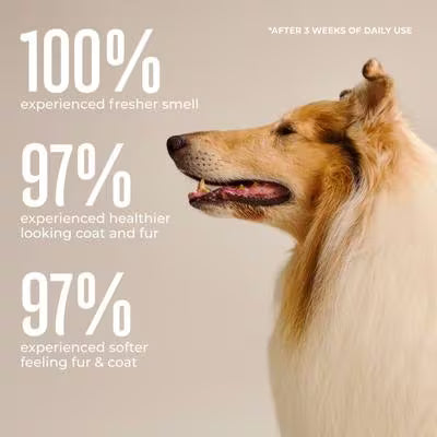 WagWell Daily Hypoallergenic Dog Grooming Wipes – Fragrance-Free –