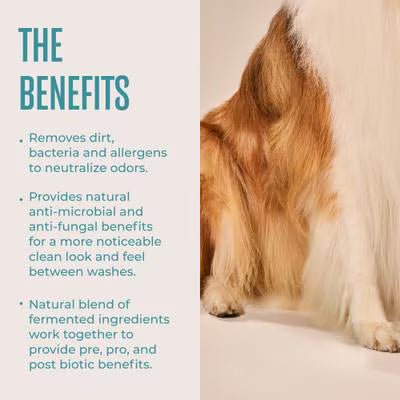 WagWell Daily Hypoallergenic Dog Grooming Wipes – Fragrance-Free –