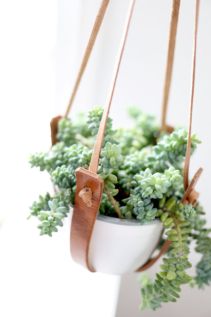 Small Flourish Plant Hanger – plant hanger