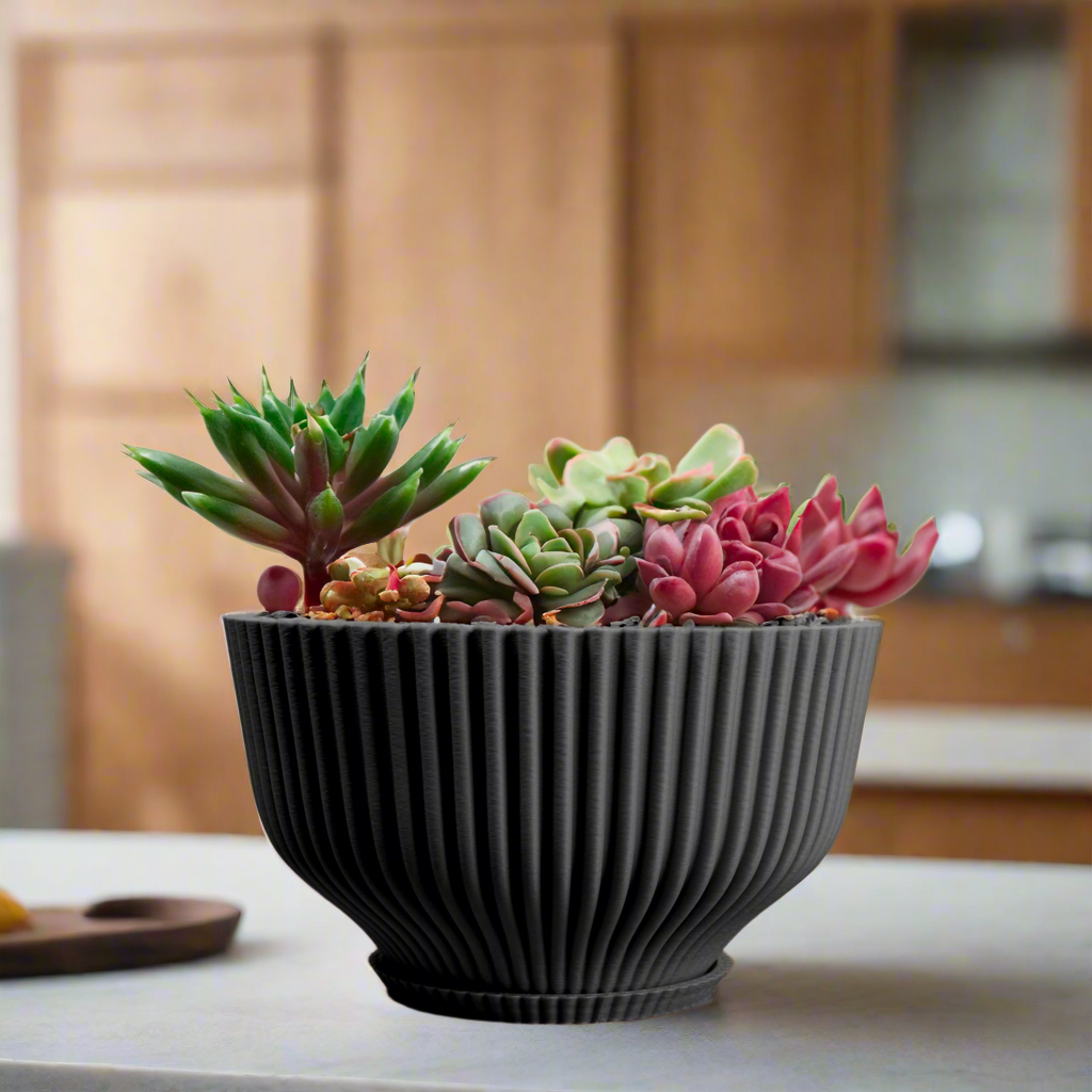 Bonsai Pot with Drainage & Tray