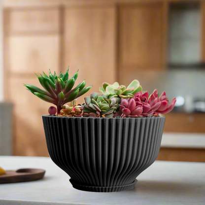 Bonsai Pot with Drainage & Tray