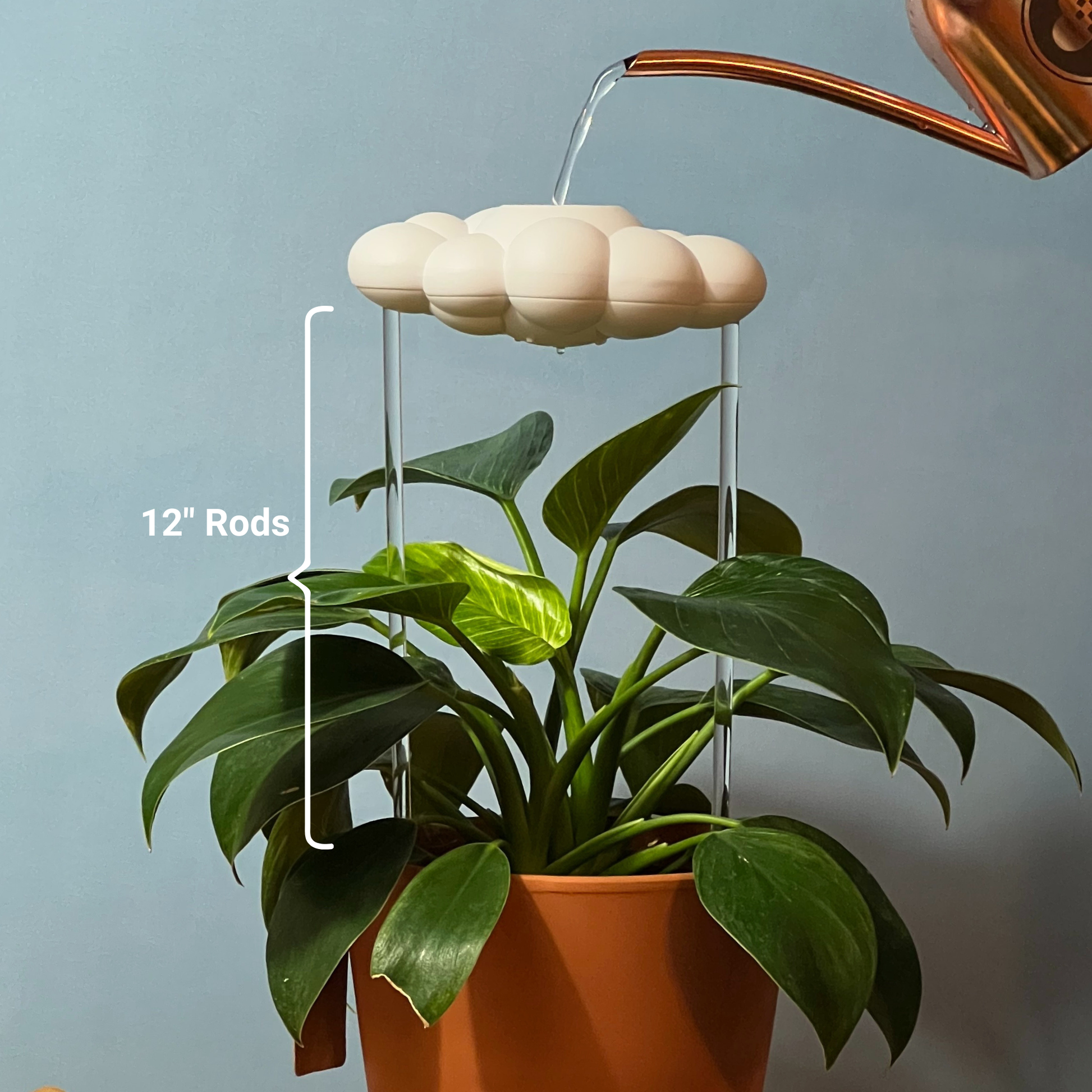 Stormy Dripping Rain Cloud with Glow in the Dark Moon Charm – House Plant Accessory