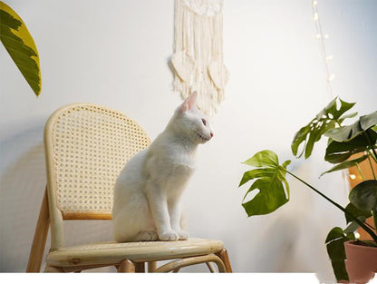 Hand-Woven Macrame, Wall Hanging Decor